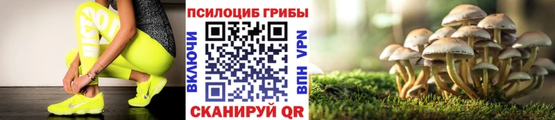 mega зеркало  Кукмор  Галлюциногенные грибы MAGIC MUSHROOMS  маркетплейс формула  купить наркотики цена 